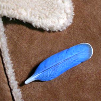 Jewelry Art & Accessories